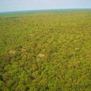 Pesquisa estuda características de recuperação de solo em áreas amazônicas afetadas por exploração de minérios