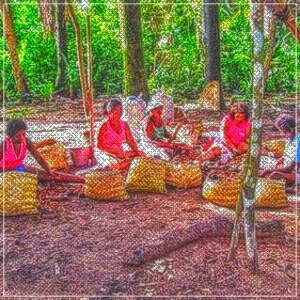 O trabalho de crianças e jovens na extração do coco babaçu