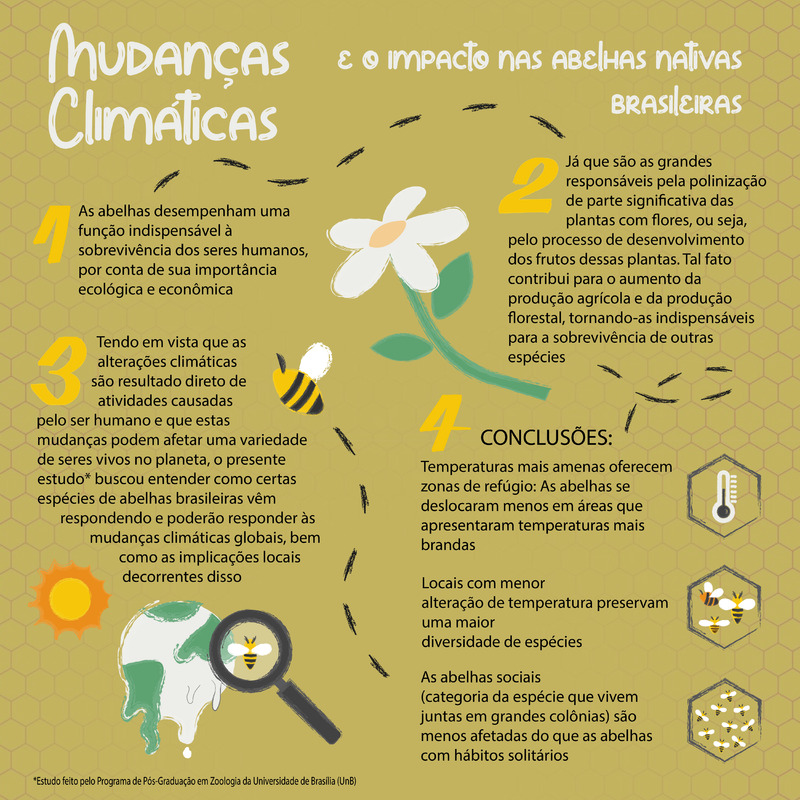 Mudanças climáticas e o impacto nas abelhas nativas brasileiras