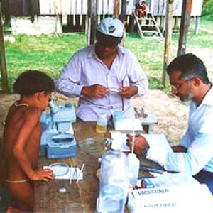Pesquisas ajudam a combater doenças dos índios Yanomami e Ye’Kuana