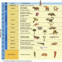 Figura 1 – Escala geológica - evolução das espécies no planeta Terra